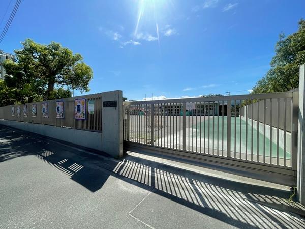 幼稚園、保育園