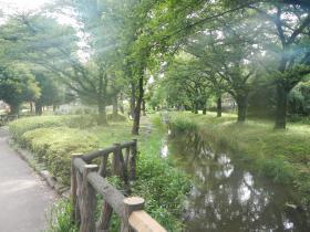 公園