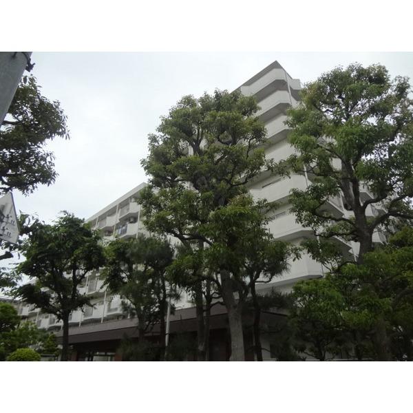 白鳥スカイマンション 外観