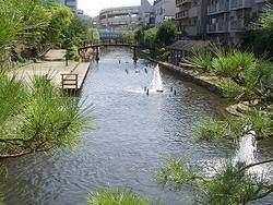 公園
