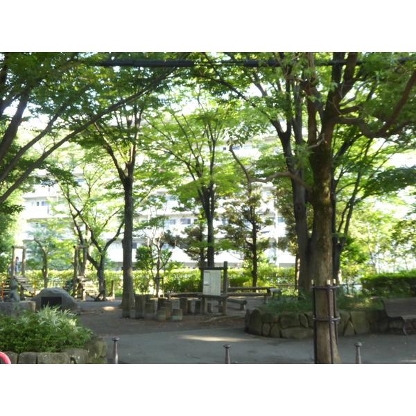 公園