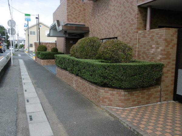 ライオンズマンション越谷大沢 その他
