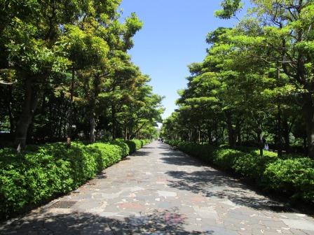 公園
