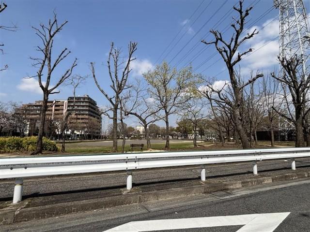 公園