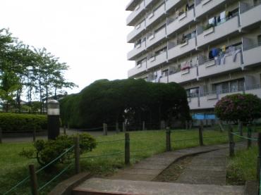 東船橋和光台ハイツ 物件画像