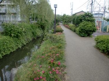 公園