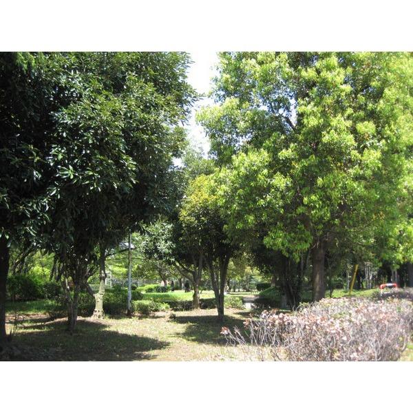 公園