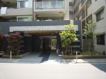 エルフィーノ中央森林公園 エントランス