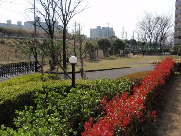 新松戸ハイツ 物件画像