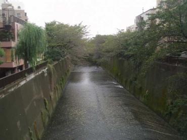 グローリオ板橋本町 物件画像
