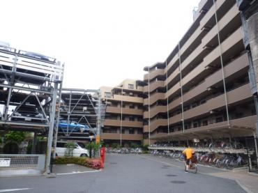 ライオンズガーデン船橋 共有部分