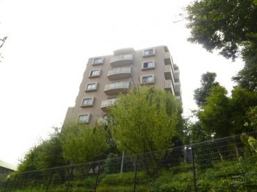 オーベル新松戸 物件画像