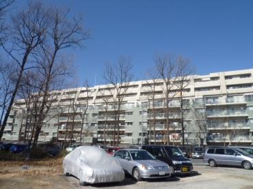 レクセルプライム初石レジデンス 物件画像
