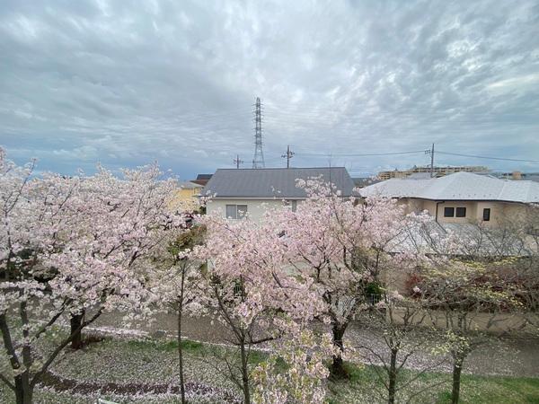 ユーロハイツ仲町台 物件画像