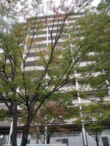 日神パレステージ春日部中央 物件画像