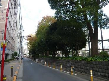 ファミール日本橋浜町公園 物件画像