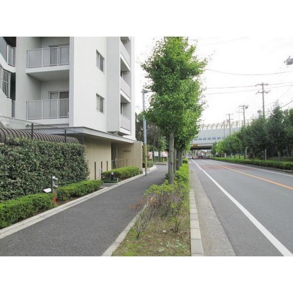 エム・ブランド船橋 物件画像
