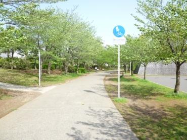 はるのみち公園前団地３号棟 物件画像