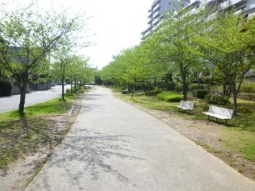 はるのみち公園前団地Ａ棟 物件画像