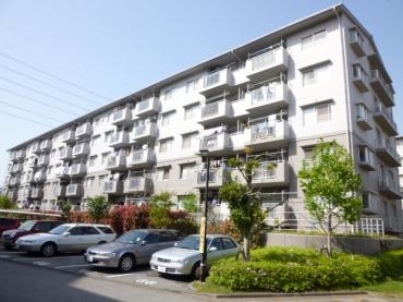 ライブ・アート春の道３号棟 物件画像