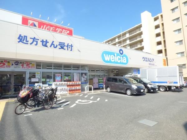 ドラックストア