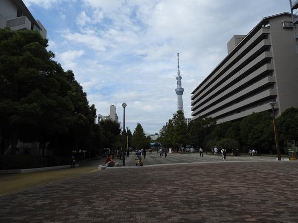 公園