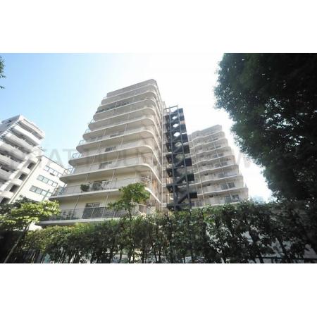 SRC造・11階建・総戸数82戸　落ち着きある