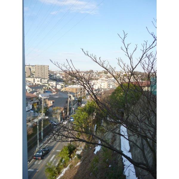 ダイアパレス妙蓮寺 眺望