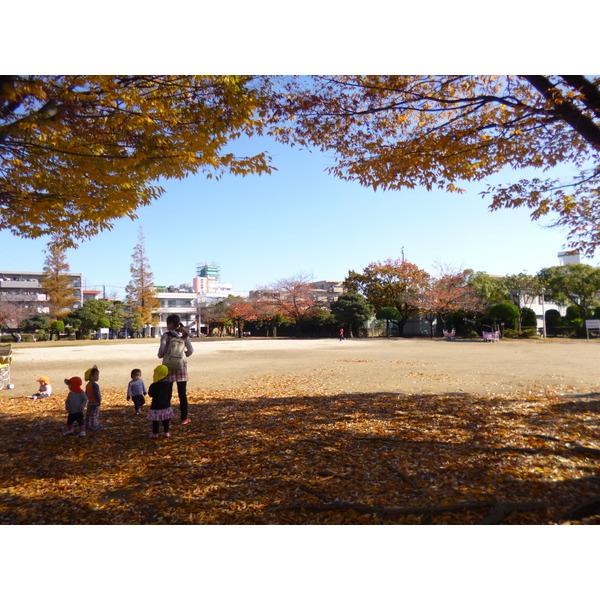 公園