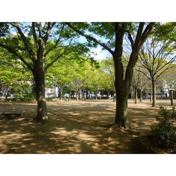 公園