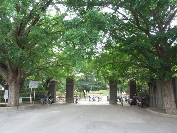 公園