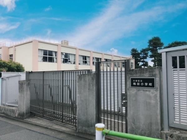 小学校