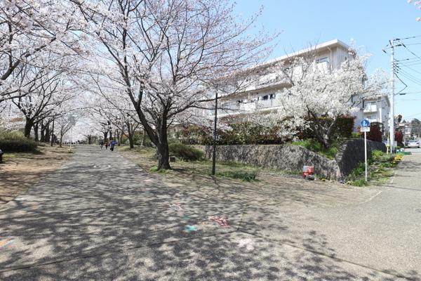 はるのみち公園前第１号棟 その他
