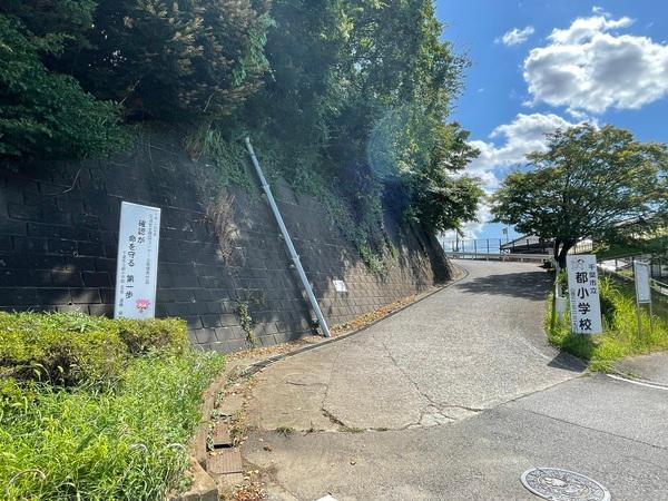 小学校