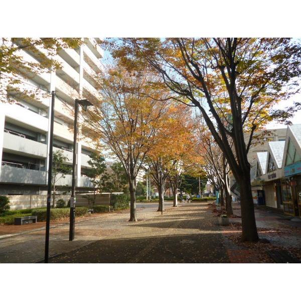 ライオンズ白井ステーションプラザ その他