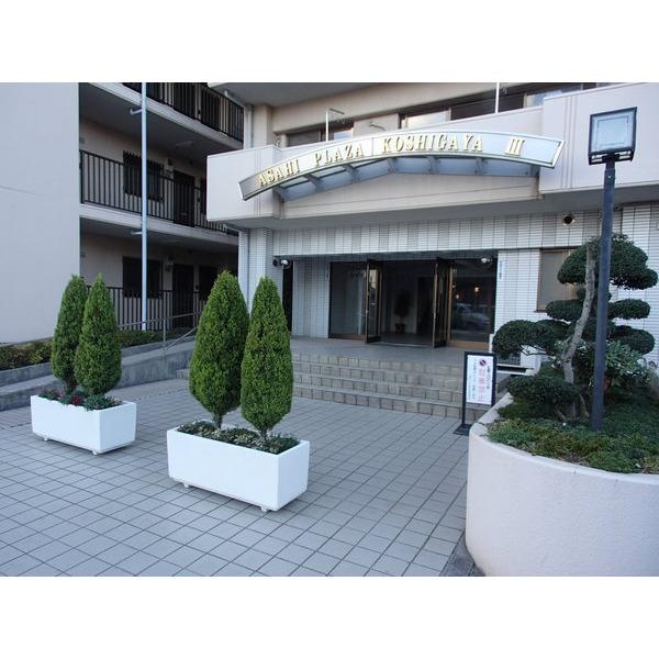 朝日プラザ越谷第三 エントランス