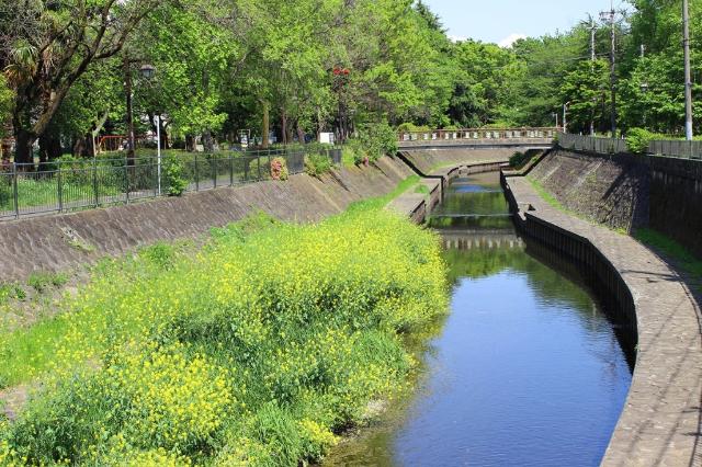 公園