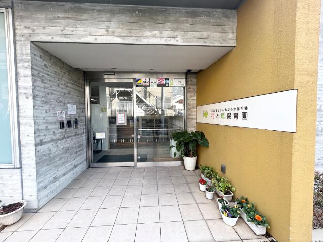 幼稚園、保育園