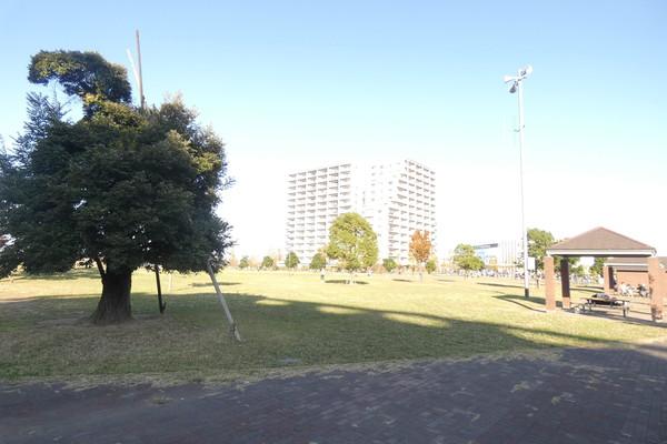 公園