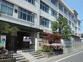 中学校