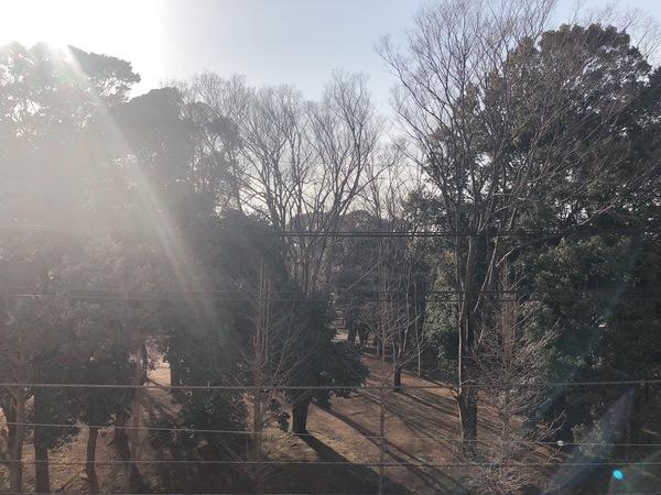 北柏ライフタウン４−１−１２号棟 眺望