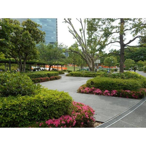 公園