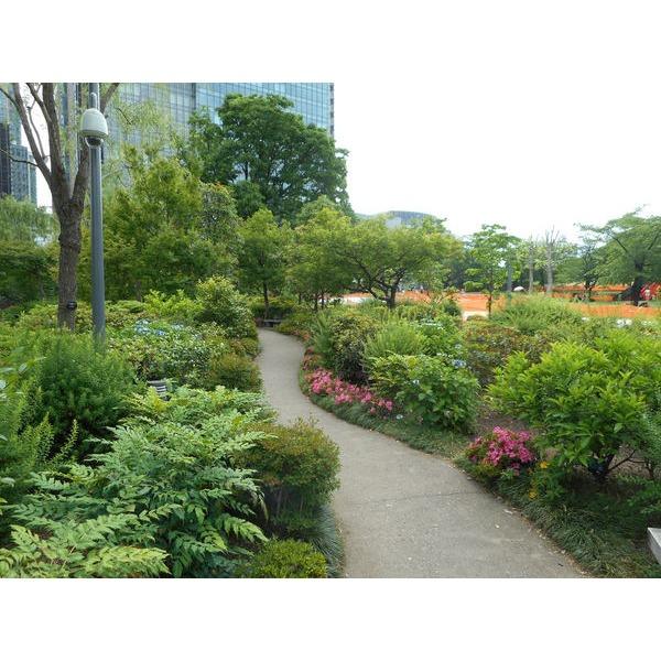 公園