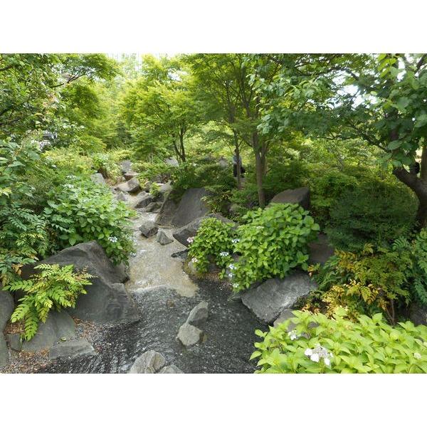 公園