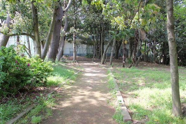 公園