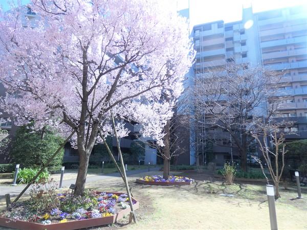 ラトリエ吉祥寺 物件画像