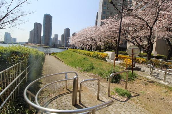 公園