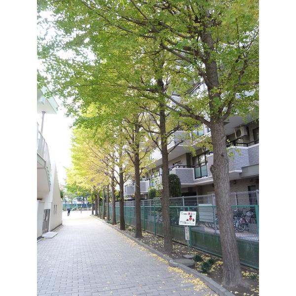 藤和シティホームズ北千住 物件画像
