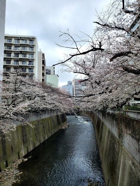 ニューライフ西早稲田 その他