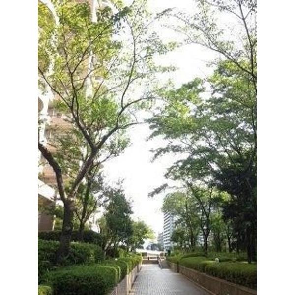 シテヌーブ北千住３０Ａ棟 その他